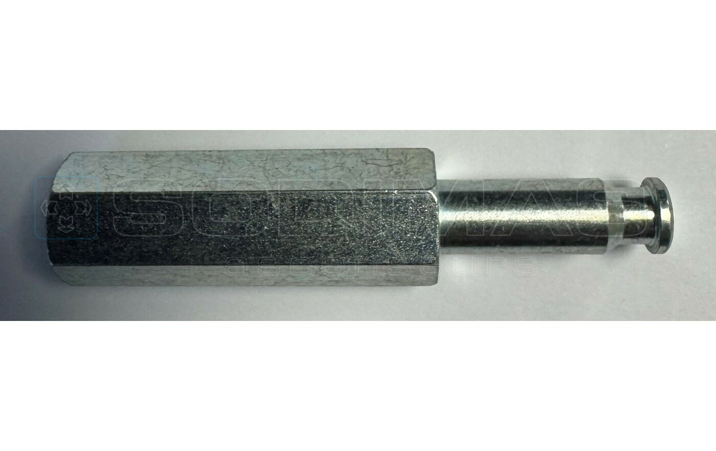 Axe patin porte GAIA