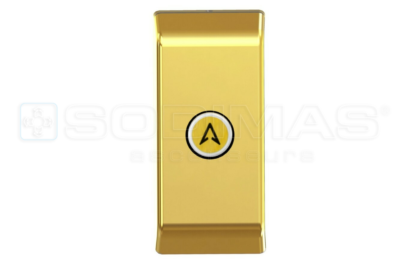 Boitier applique or miroir , bouton cyntra v2 or, mont&eacute;e + buzzer