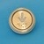 Bouton Cyntra descente IP54 lumineux bleu avec buzzer